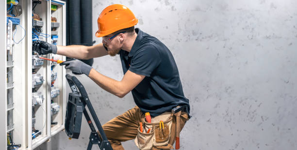 Best Electric Panel Repair  in Louisvle, IL